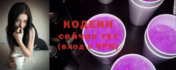 МДПВ Богородск